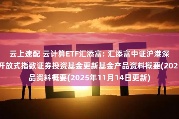 云上速配 云计算ETF汇添富: 汇添富中证沪港深云计算产业交易型开放式指数证券投资基金更新基金产品资料概要(2025年11月14日更新)