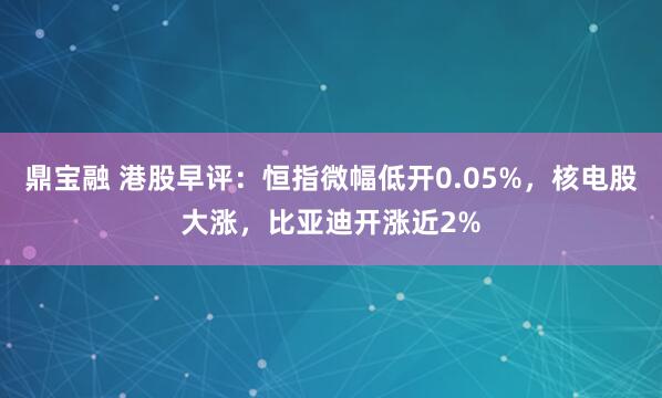 鼎宝融 港股早评：恒指微幅低开0.05%，核电股大涨，比亚迪开涨近2%